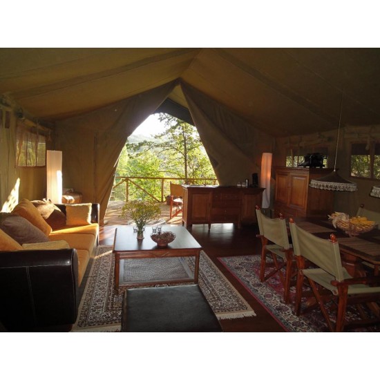 Safari Tent