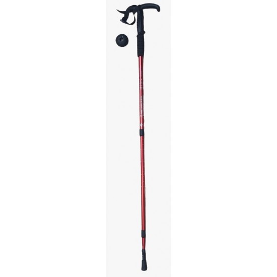 Hiking Stick