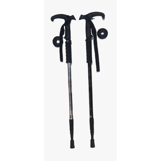 Hiking Stick