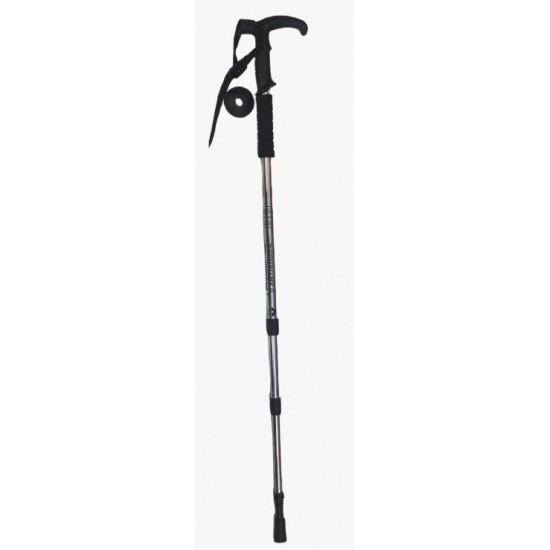 Hiking Stick
